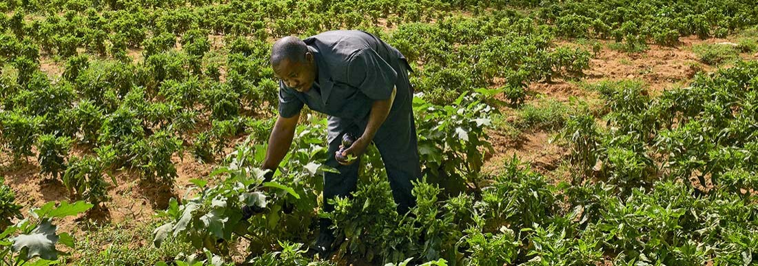 agri finance