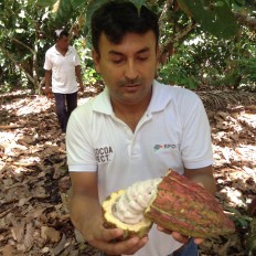 Cacao Perou