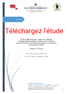 Etude d’effets du projet "Agir pour l’insertion professionnelle des jeunes au Togo à travers l’offre de services financiers et non financiers adaptés" sur les jeunes entrepreneurs artisans.