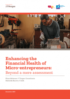  Enhancing the Financial Health of Micro-entrepreneurs: Beyond a mere assessment