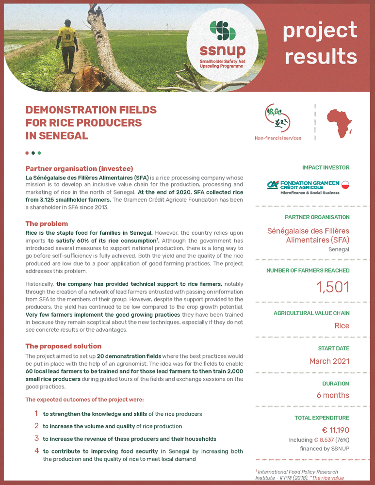 Demonstration fields for rice producers in Senegal