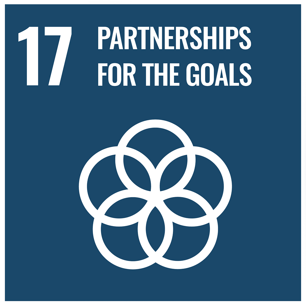SDG 17 partnerships between different types of actors in the inclusive finance sector