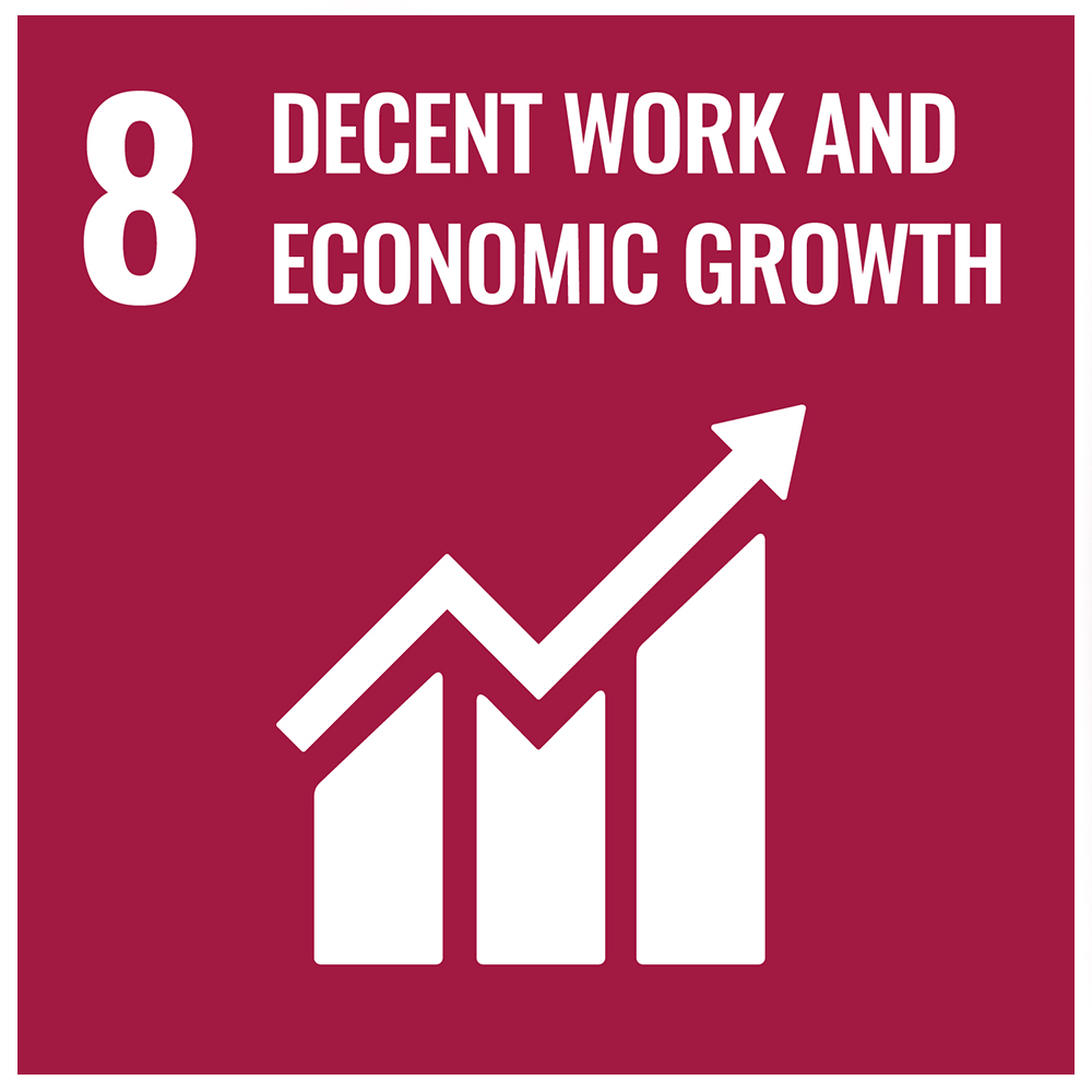 SDG 8 decent employment and income