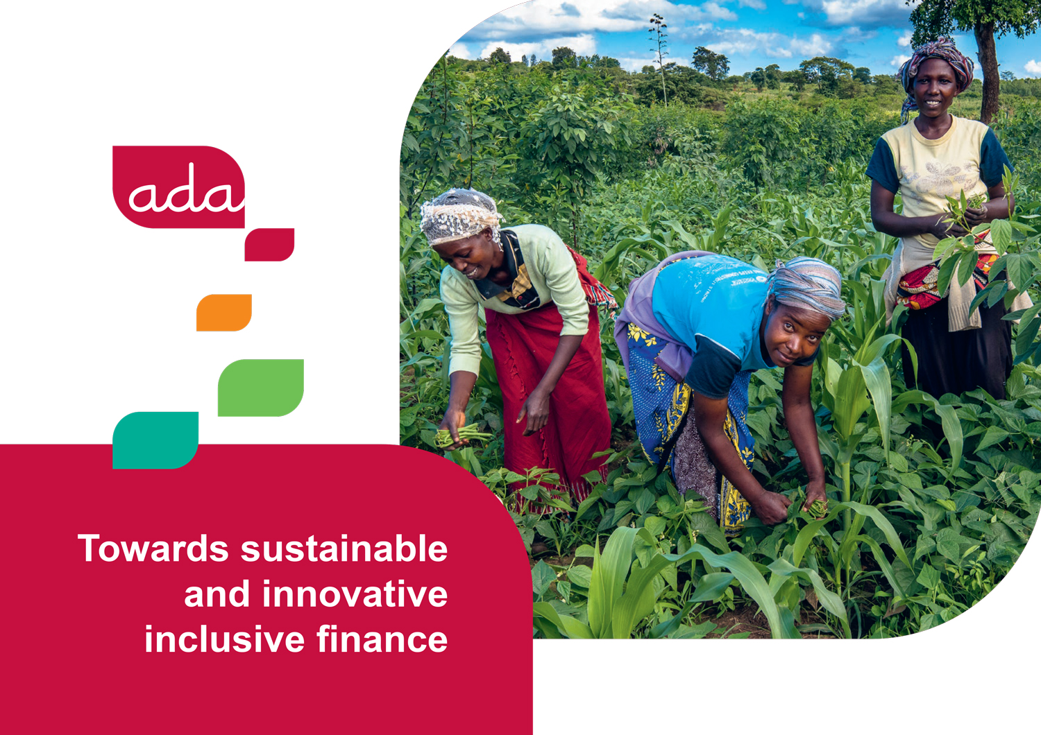 Towards sustainable and innovative inclusive finance