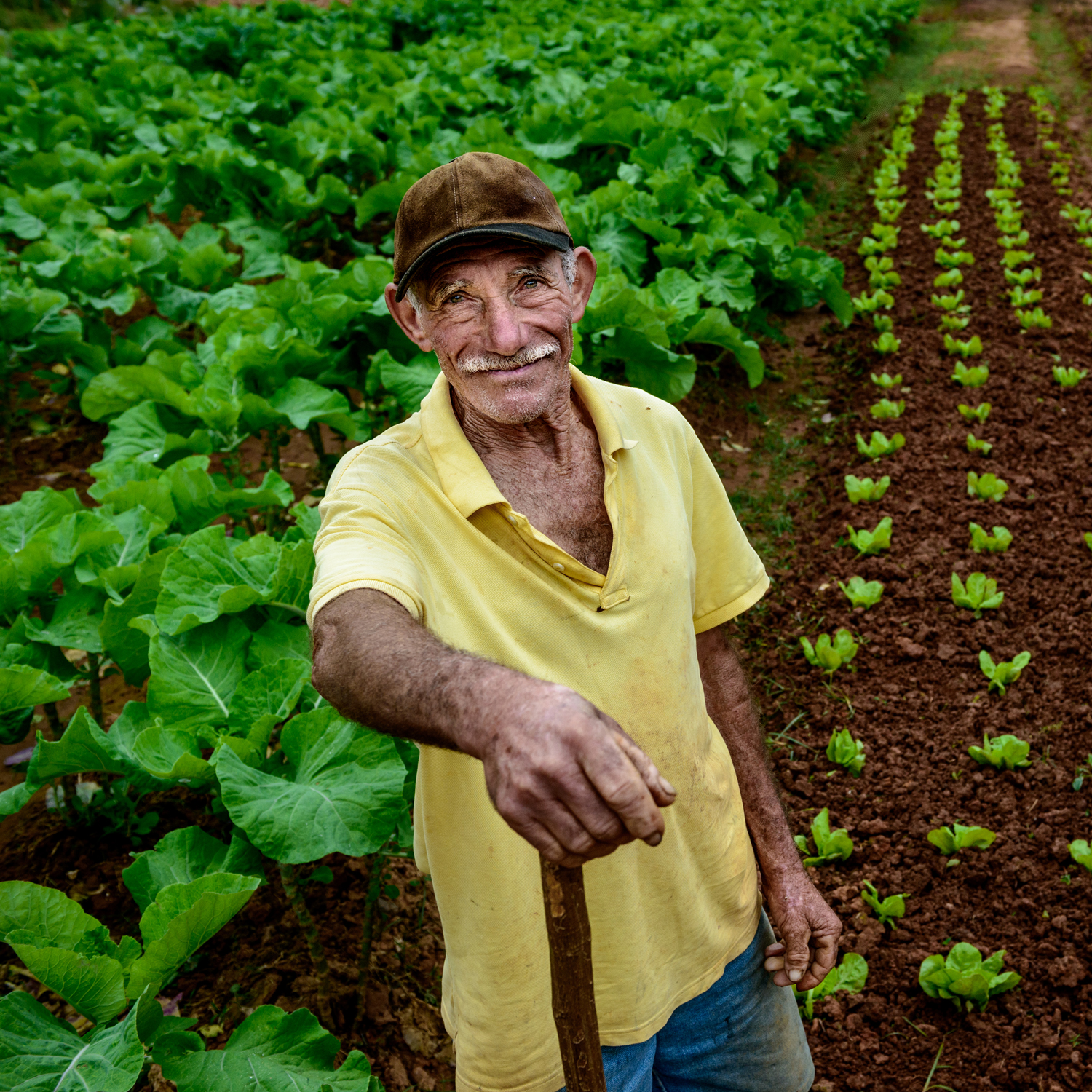 Smallholder farmer