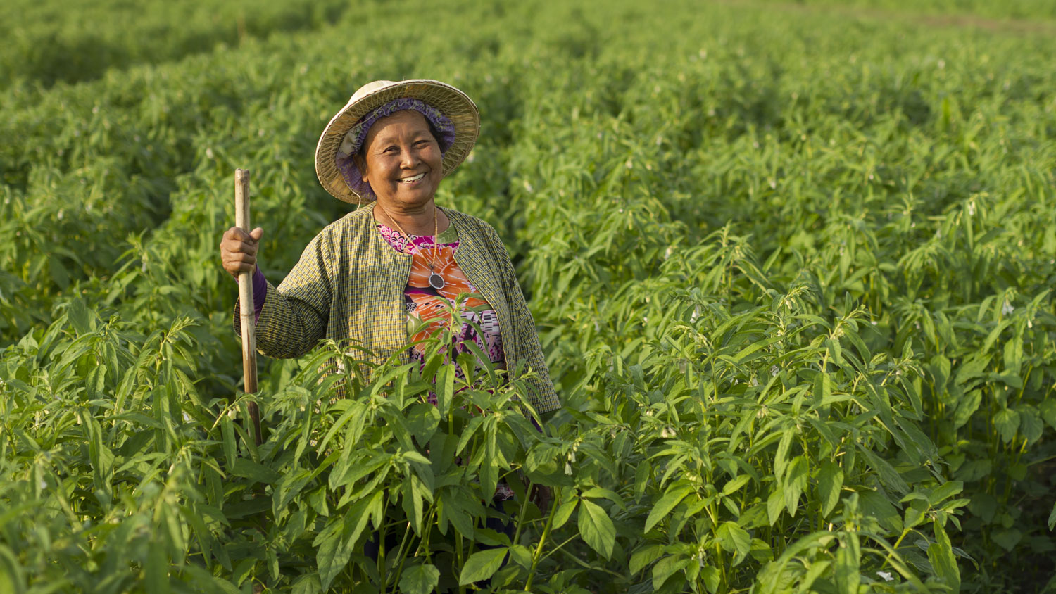 Exploitante agricole