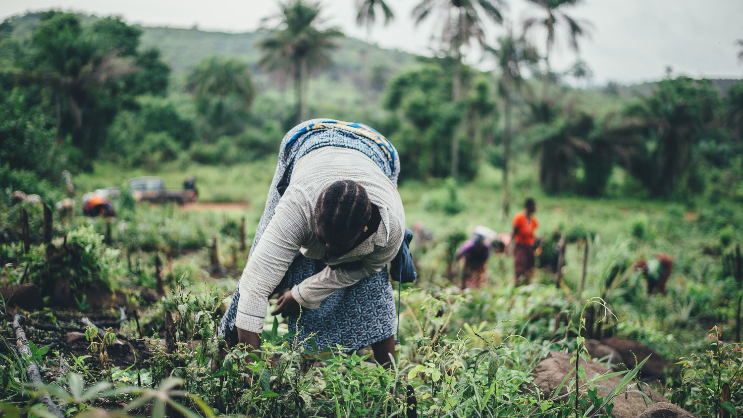 Exploitants agricoles en Afrique