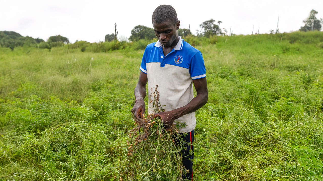 Un jeune homme tenant une plante dans ses mains