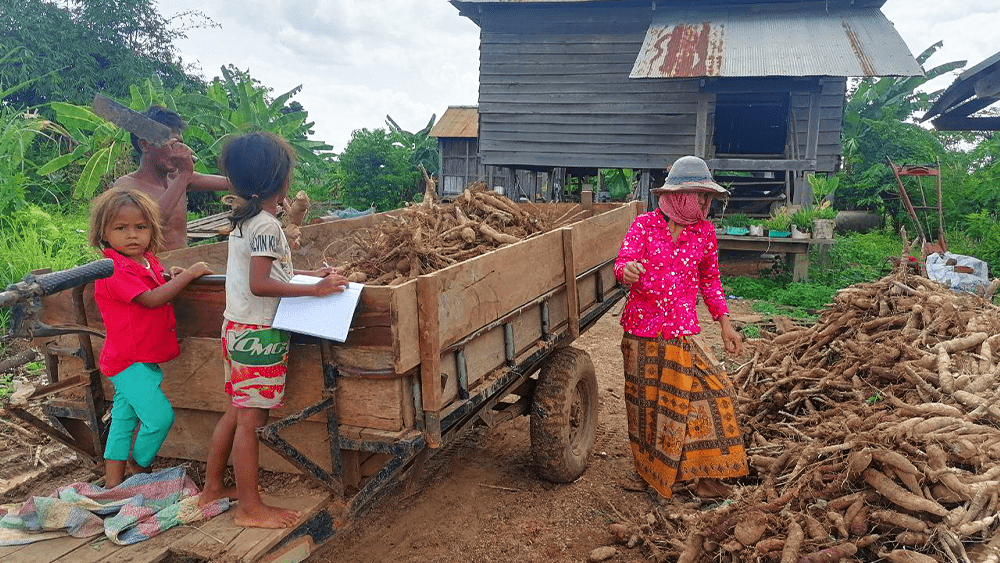 Projet SSNUP finalisé : rendre les coopératives des producteurs au Cambodge plus éligibles au financement