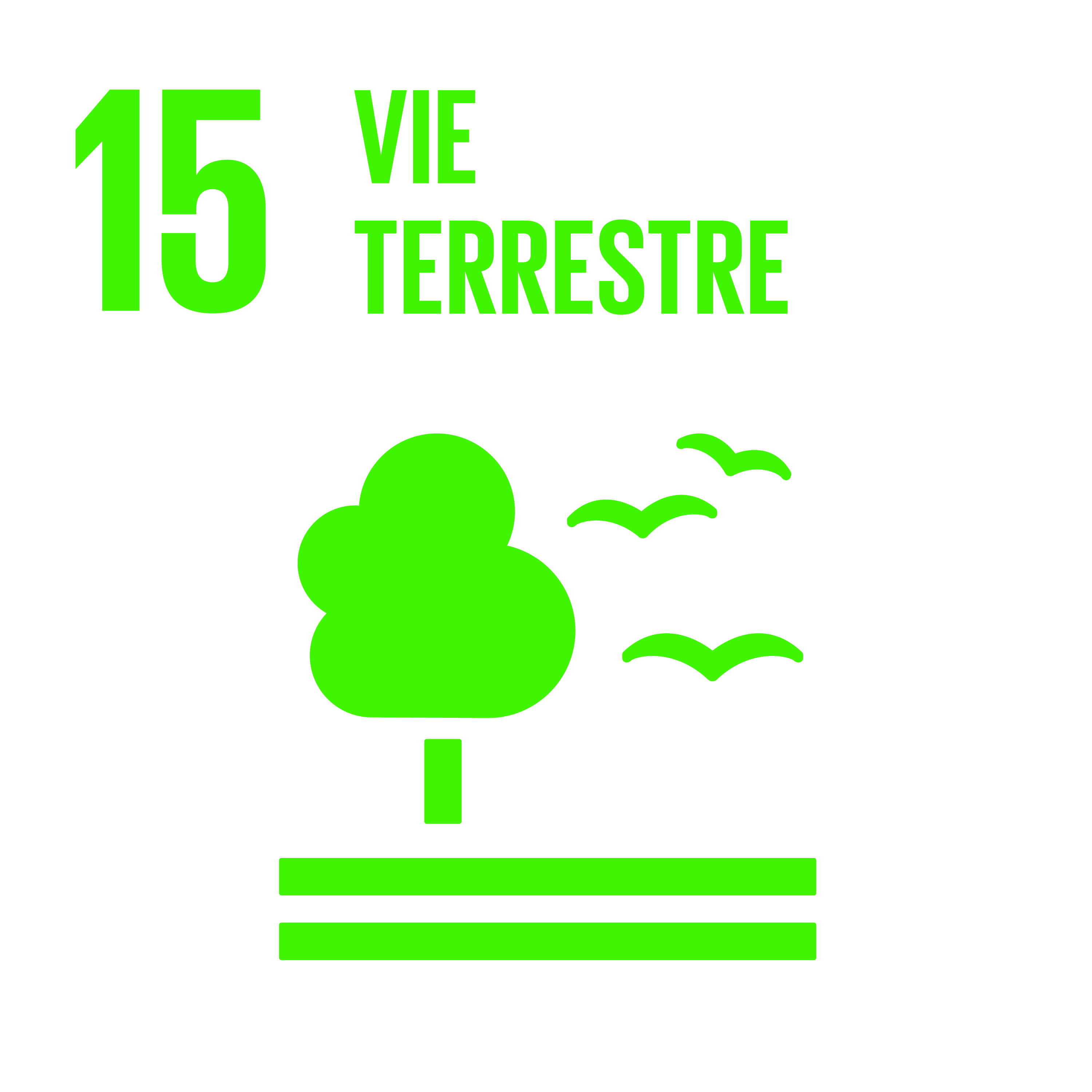 Vie terrestre