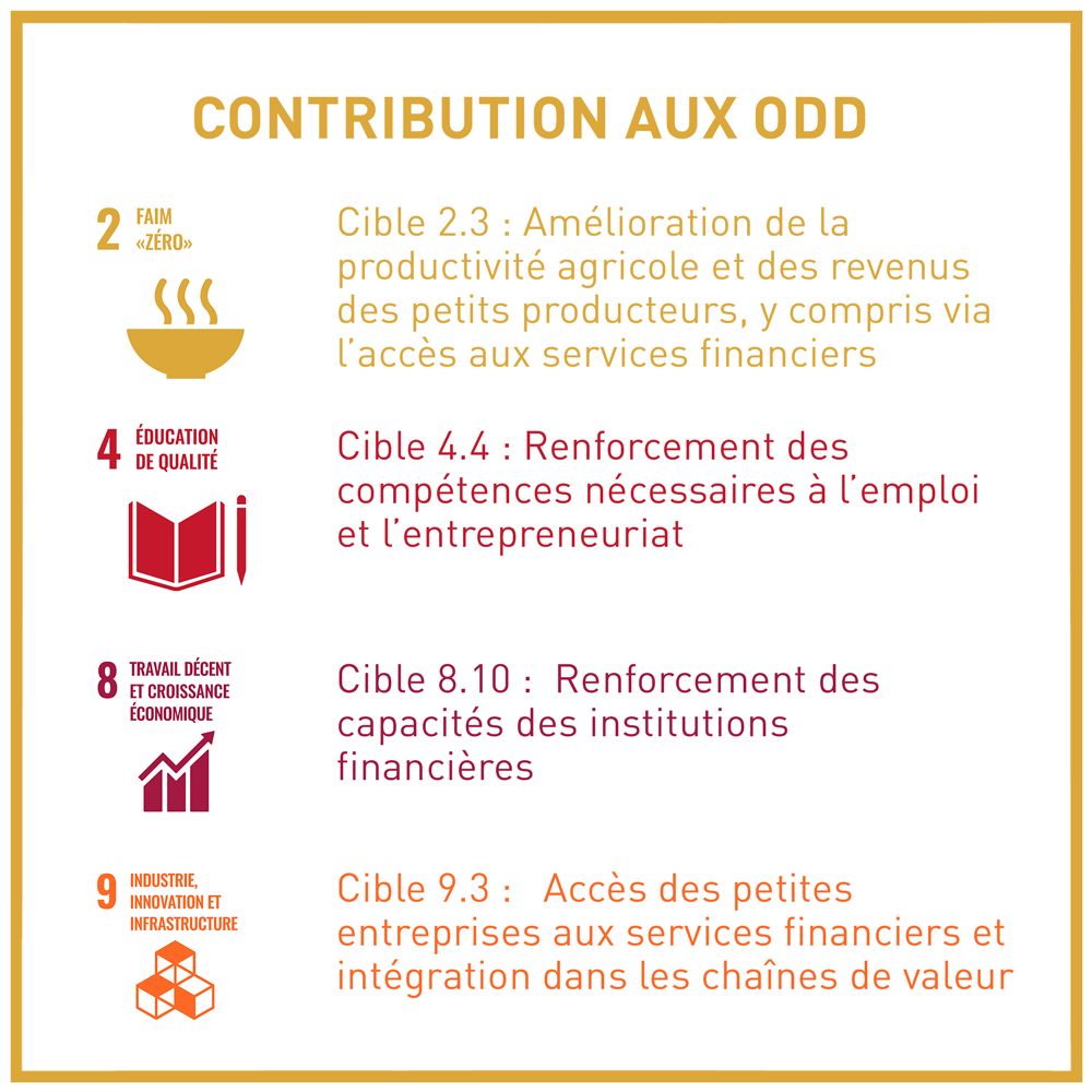 ODD jeunes entrepreneurs