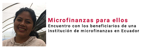 Microfinance