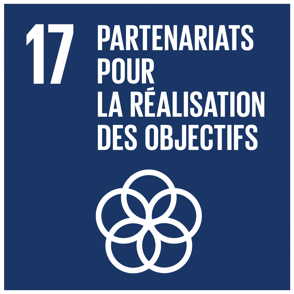 ODD 17 Partenariats pour la réalisation des objectifs