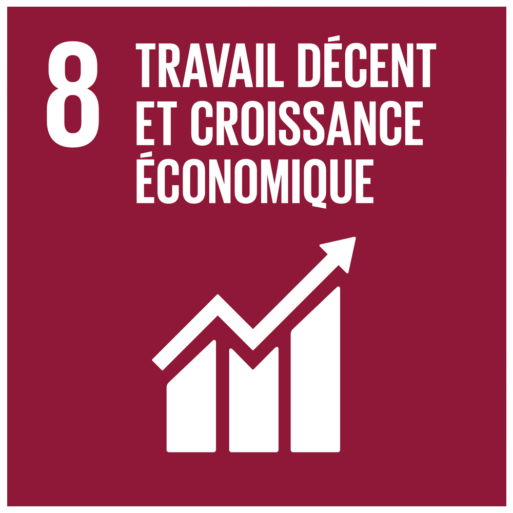 ODD 8 Travail décent et croissance économique