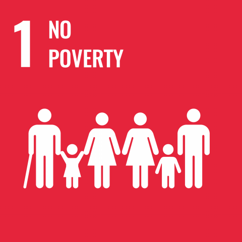 SDG: no poverty
