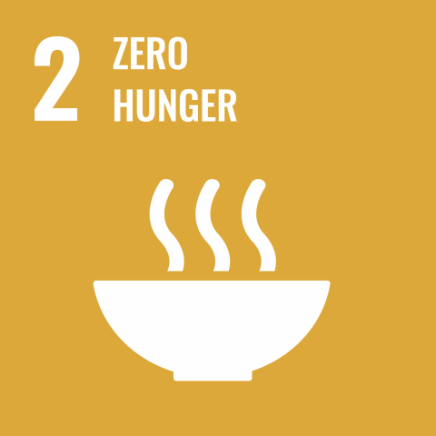 SDG 2: zero hunger