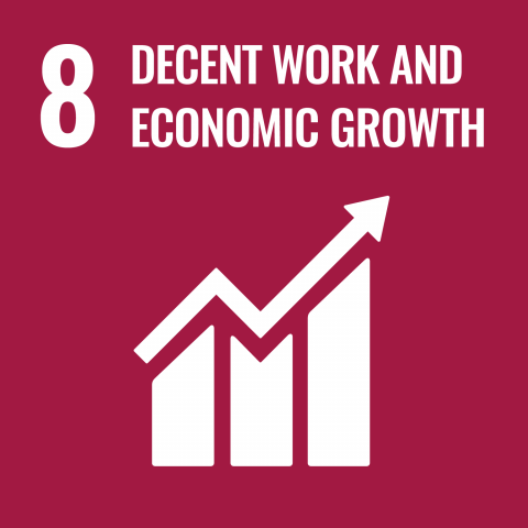 SDG 8: decent work and economic growth