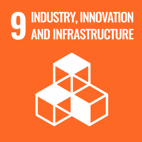 SDG 9: industry, innovation and infrastructure