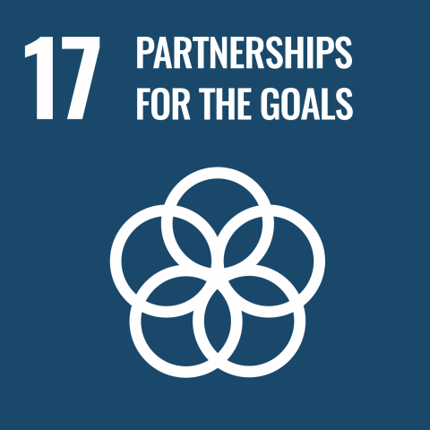 SDG 17: partnerships for the goals