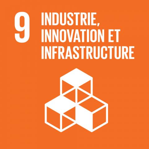 ODD 9 : Industrie, innovation et infrastructure
