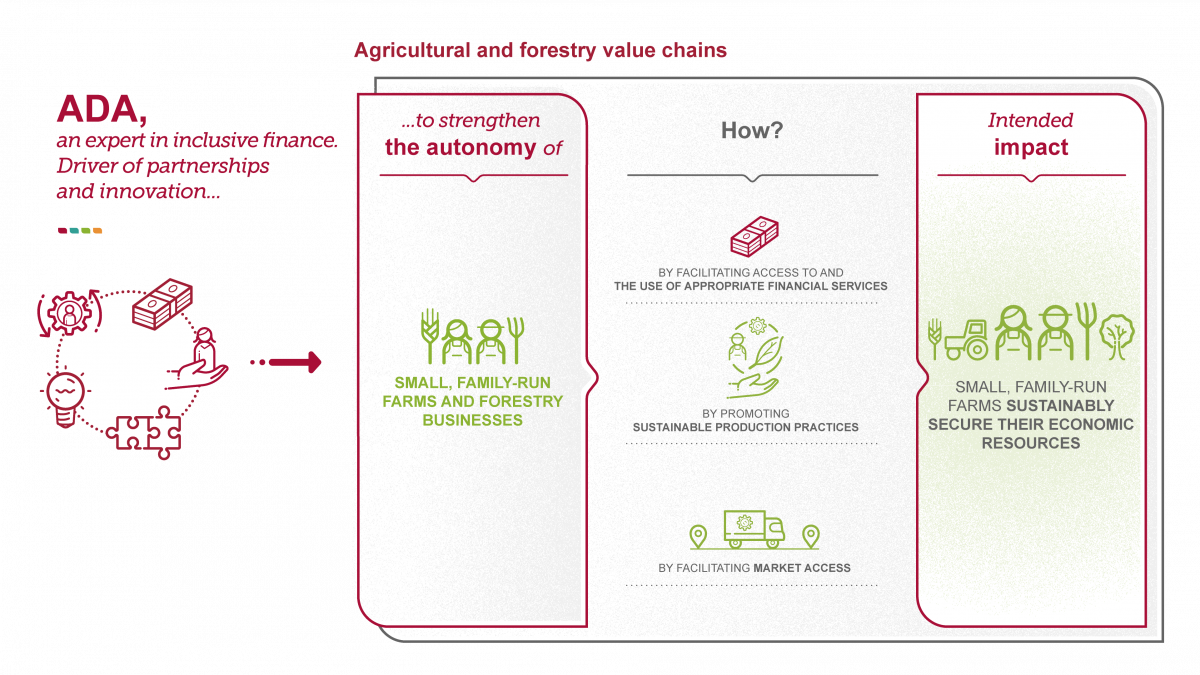 Africultural and forestry value chains