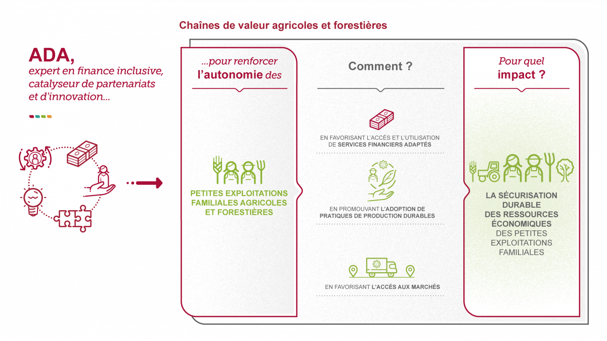 Chaînes de valeur agricoles et forestières