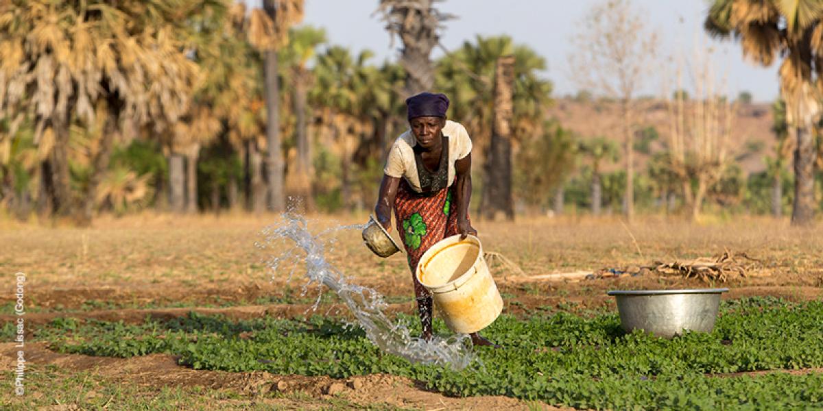 Microfinance verte