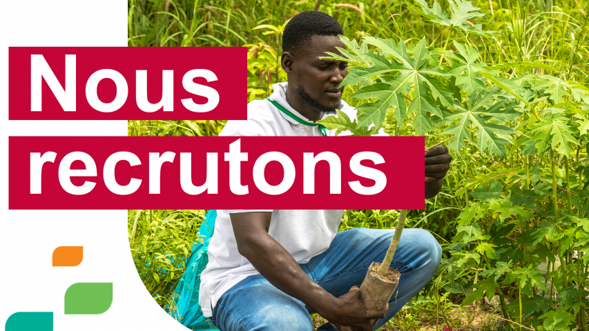 Chargé(e) de programme – Chaînes de valeur agricoles et forestières