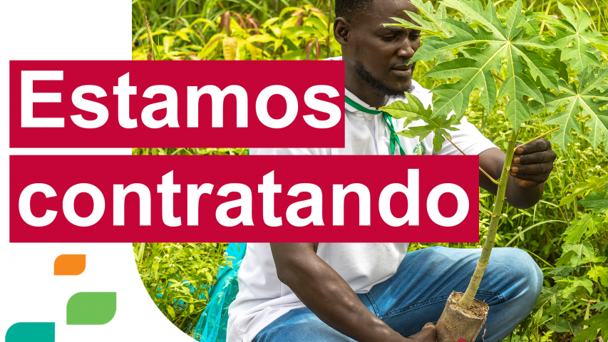 Encargado/a de programas - Cadenas de valor agrícolas y forestales