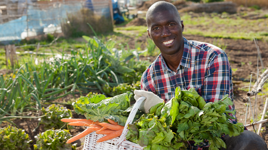 Acceso a seguros paramétricos para  agricultores de África Occidental 