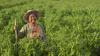 Mujer en un campo. Copyright: Shutterstock