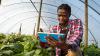 Fermier africain utilisant un tablet pour gérer la récolte. Copyright: GettyImages
