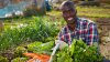 Hombre en un campo sujetando zanahorias