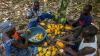 Des hommes et des femmes assis par terre en train d'ouvrir des fèves de cacao